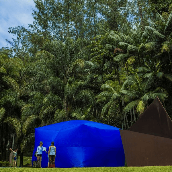 BIG BLUE — 2